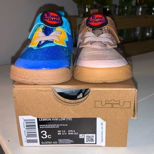 Lebron Space Jams “Wylie coyote”